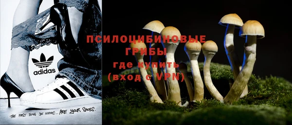 МДПВ Аркадак