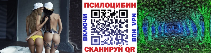 Галлюциногенные грибы Psilocybe  Ржев 